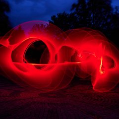 Z6III_023529