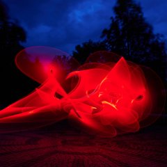 Z6III_023530