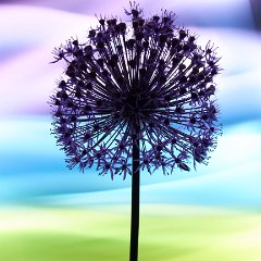 Ligthpainting_Gredlein