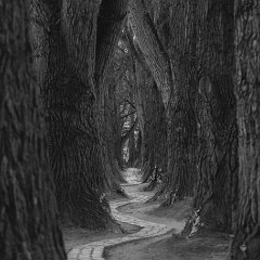 Monochrom  Monochrom : Lisa Heinrich Monochrom