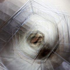 Drehung : Bewegung, Drehung